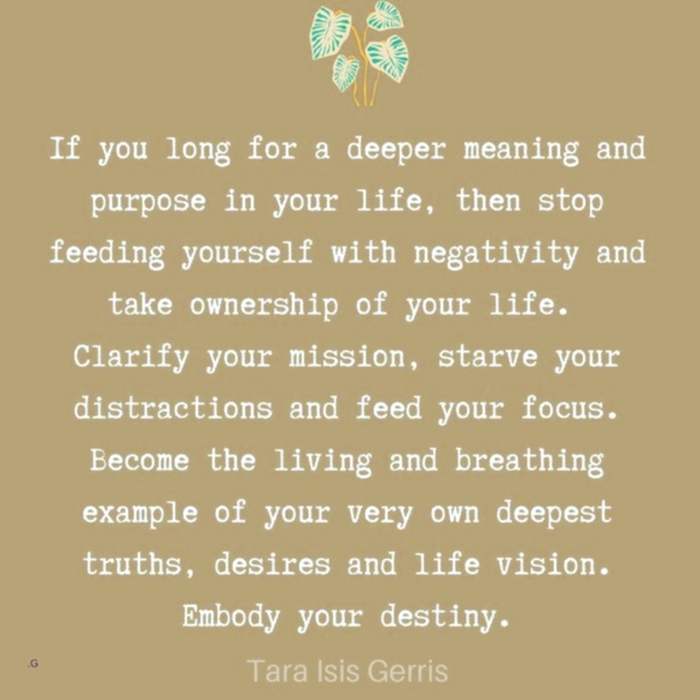 Thoughts🌿 - Picture 8 of 9